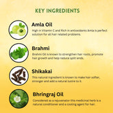 Vagad’s Herbal Amla & Brahmi Hair Oil – For Hair Fall Control, Thickening & Deep Scalp Nourishment - 210ml